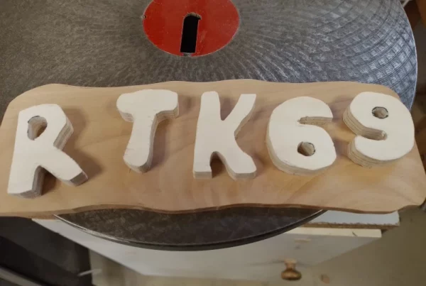 initiation-chantournage-jeune