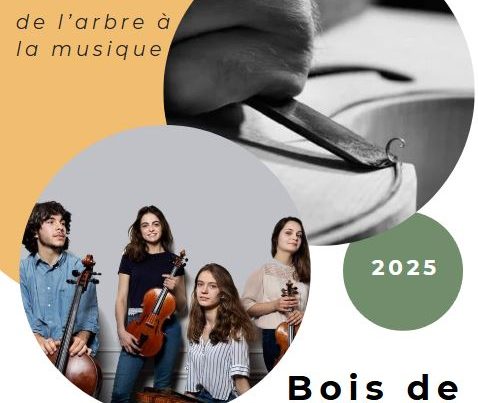 cobois-bois-de-resonnance