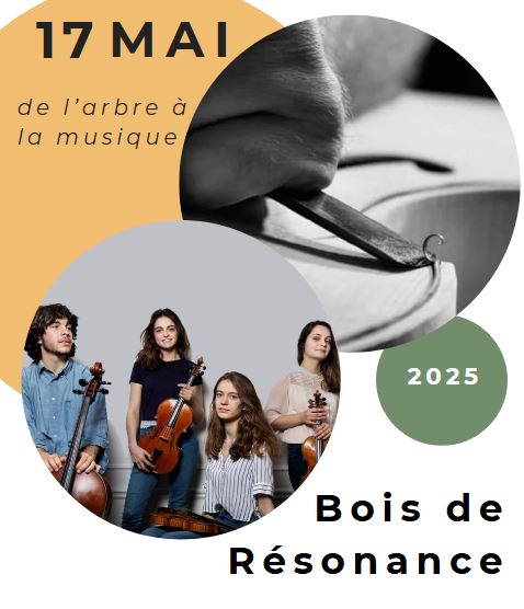 cobois-bois-de-resonnance